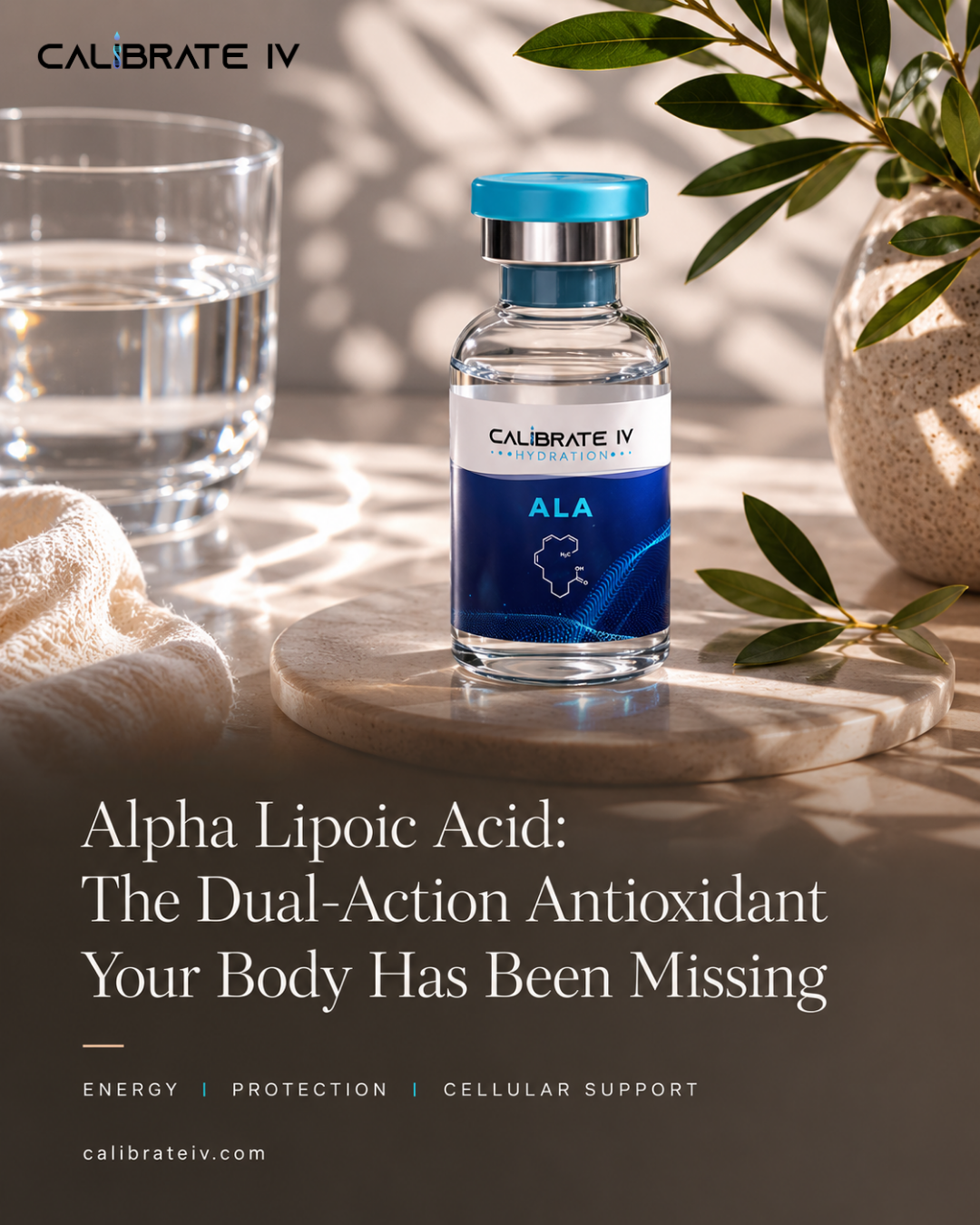 Alpha Lipoic Acid: The Dual-Action Antioxidant Your Body Has Been Missing