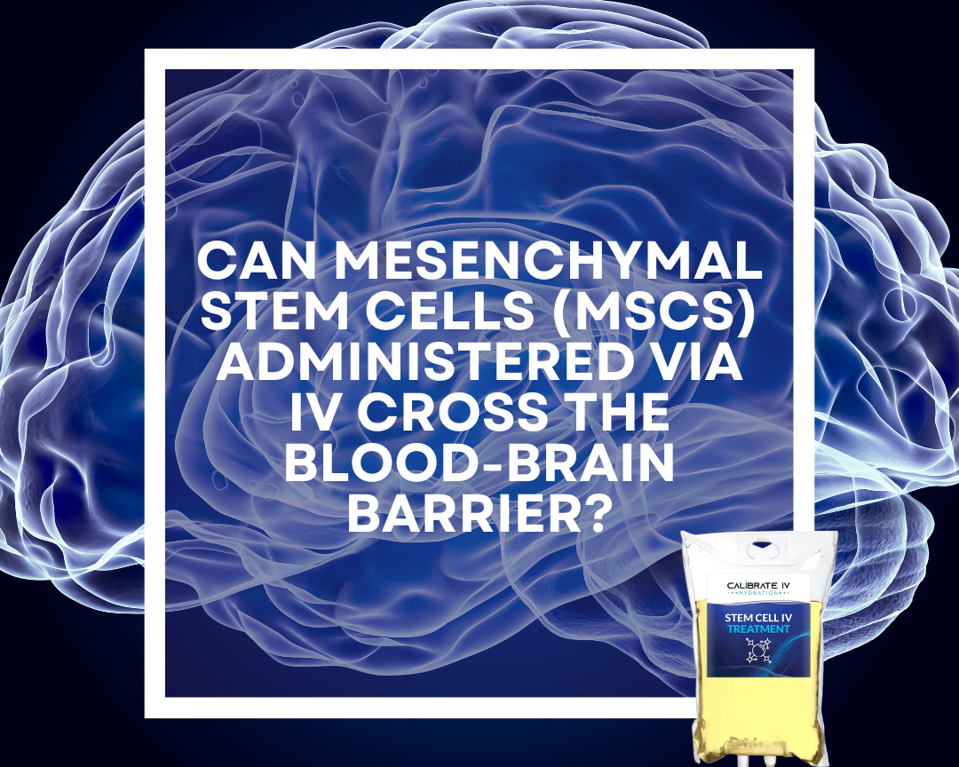 Can Mesenchymal Stem Cells (MSCs) Administered via IV Cross the Blood-Brain Barrier?