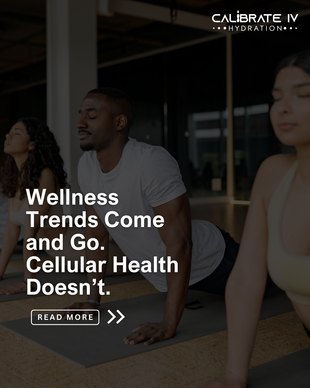 Wellness Trends Come and Go. Cellular Health Doesn’t.