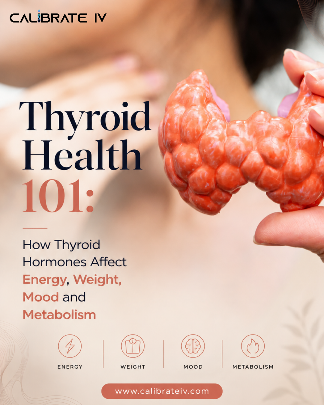 Thyroid Health 101: How Thyroid Hormones Affect Energy, Weight, Mood and Metabolism