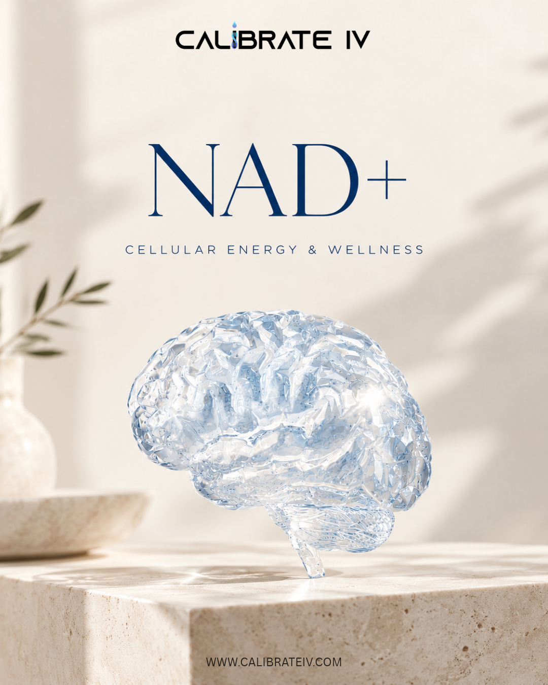 NAD+ Explained: Cellular Energy, the Evidence, and Your Options at Calibrate IV